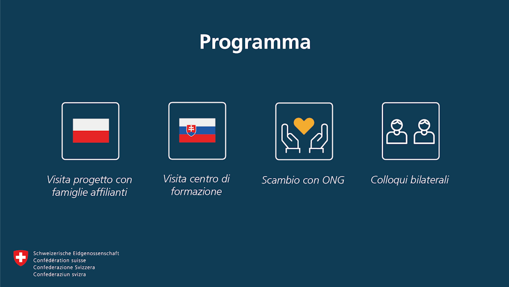 Programma: In Polonia visita a un progetto con famiglie affidatarie, in Slovacchia visita a un progetto di formazione. Inoltre, scambio con ONG e colloqui bilaterali.